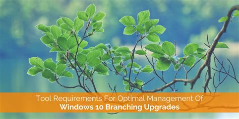 Tool Requirements For Optimal Windows As A Service Management Windows