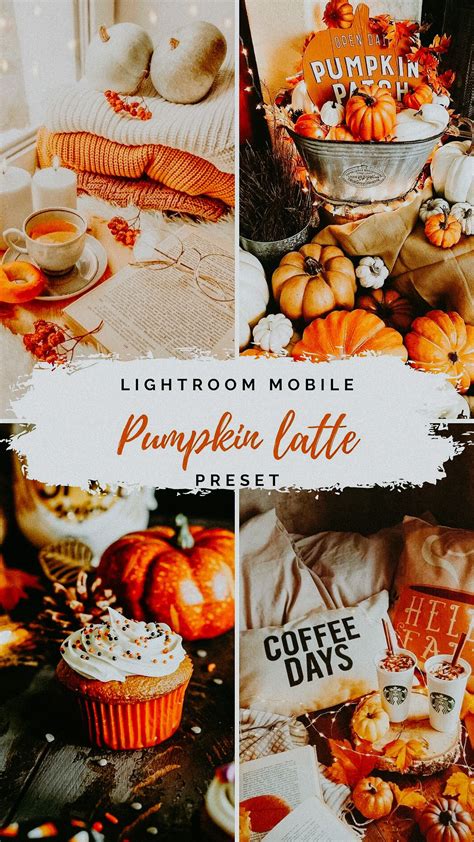 I am sharing all my travel presets for free, no costs. Autumn Lightroom Mobile and Desktop presets, DNG Presets ...