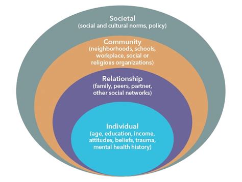 Socio Ecological Model For Driver Safety Safe States Alliance