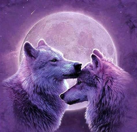 Pin By Dawn Drake On Artistic License Wolf Love Wolf Dog Wolf Pictures