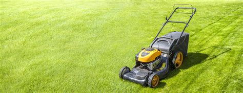 How Early Can I Mow My Lawn In The Spring