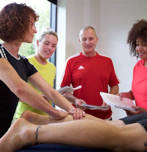 Level 4 Sports Massage Therapy Course Hfe