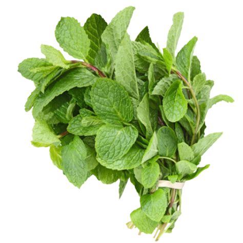Mint Leaves Bombay Foods