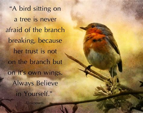 Https://flazhnews.com/quote/a Bird Sitting On A Branch Quote Author