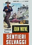 Sentieri selvaggi - Film (1956)