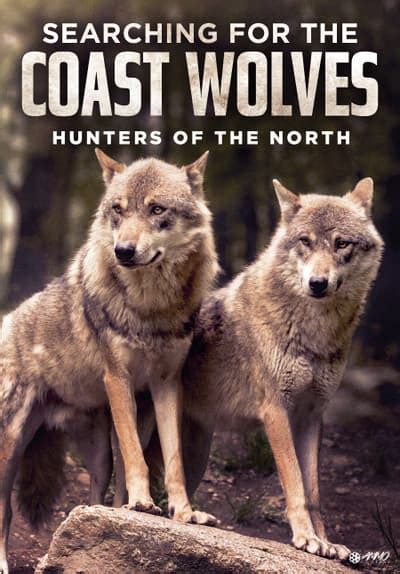 Watch Searching For The Coast Wolves 2006 Free Movies Tubi