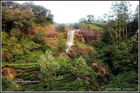 10744 Karumalai Water Falls Valparai Chandrasekaran Arumugam Flickr