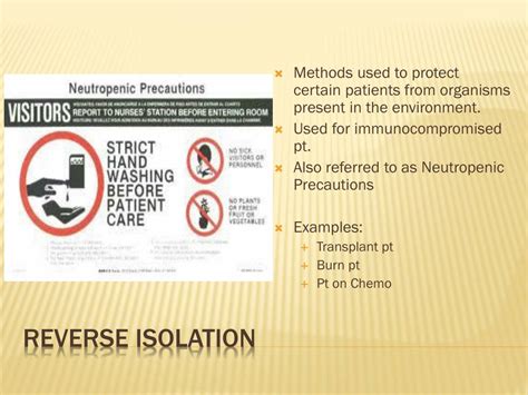 Ppt Isolation Precautions Powerpoint Presentation Free Download Id