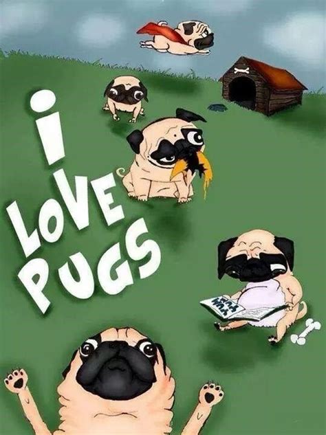 Funny Pug Dog Meme Pun Lol More I Love Dogs Puppy Love Cute Dogs Pug