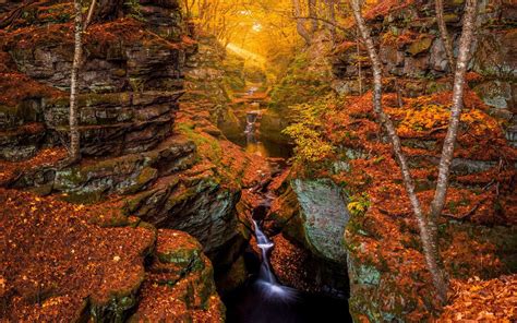 Stream And Waterfall In Rocky Autumn Forest