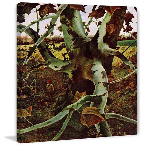 Sycamore Tree Andrew Wyeth Painting Prints Andrew Wyeth Art