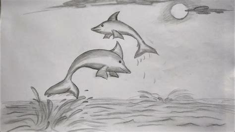 How To Draw Dolphin Jumping Out Of Water Alter Playground