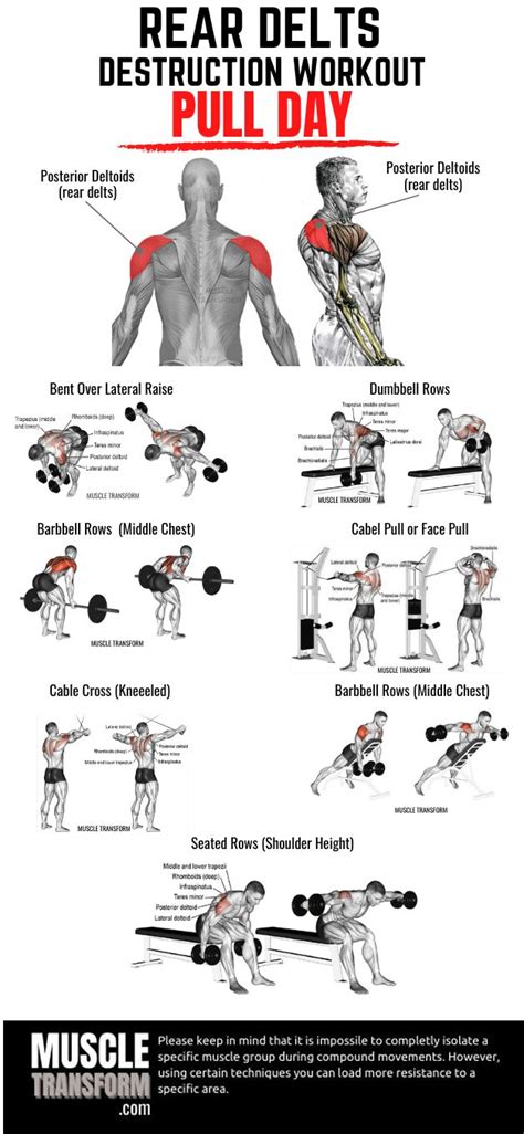 10 Rear Delts Shoulder Workout To Stimulate Growth Delts Workout