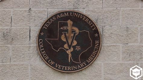 Texas Aandm Veterinary School And Gigabot Youtube