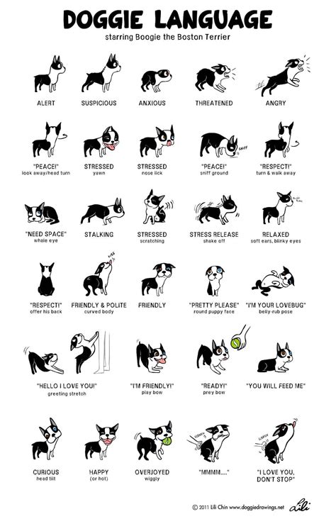Canine Behavior Chart