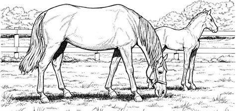 Horse Coloring Pages For Adults Best Coloring Pages For Kids Horse