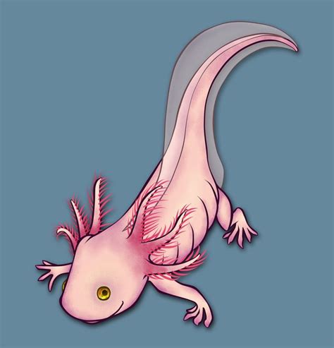 Axolotl Axolotl Axolotl Cute Kawaii Art