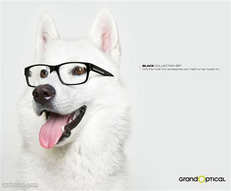 50 Animal Themed Print Advertisements And Print Ads Inspiration For You