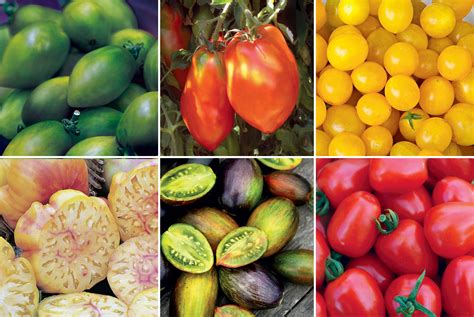 15 Ag And Culinary Pros Share Their Favorite Heirloom