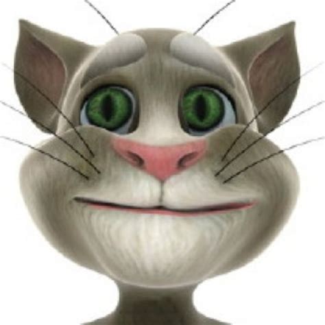 Talking Tom And Friends Know Your Meme