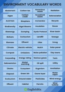 Environment Vocabulary Words List A To Z Englishbix