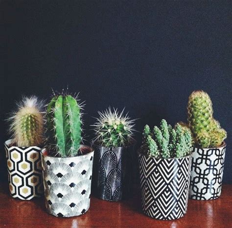 Top Creative Diy Cactus Planters Ideas You Should Copy Right Now No 09