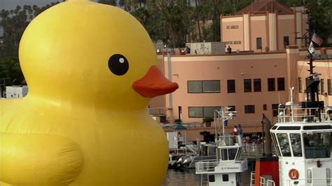 Giant Rubber Duck Wows Spectators At Port Of La For Festival Of Tall