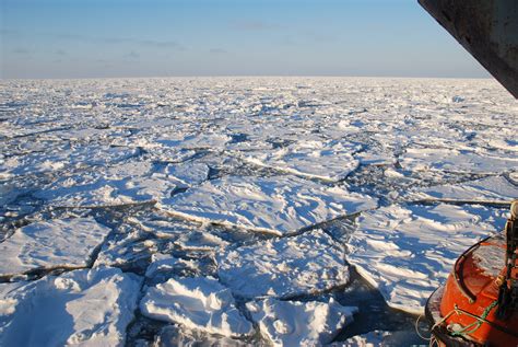Space In Images 2016 12 Thin Sea Ice