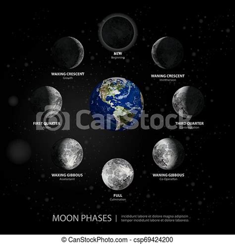 Movements Of The Moon Phases Realistic Vector Illustration Canstock