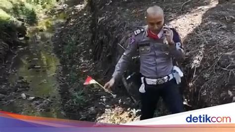 Dino Merah Viral Telegram Dino Merah Artinya Wah Waduk Benanga