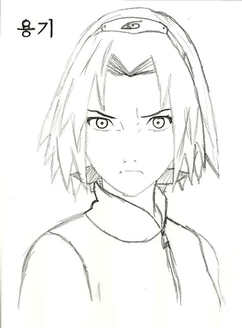 Sakura Drawing At Getdrawings Free Download