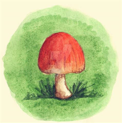 Watercolor Mushroom By Ovilia1024 On Deviantart