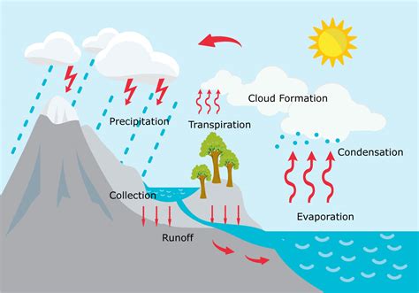 Water Cycle Illustration 98760 Vector Art At Vecteezy