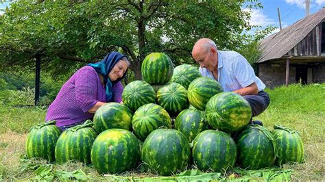 100 Kg Watermelon Canning Watermelon Juice For The Winter In The Village Youtube