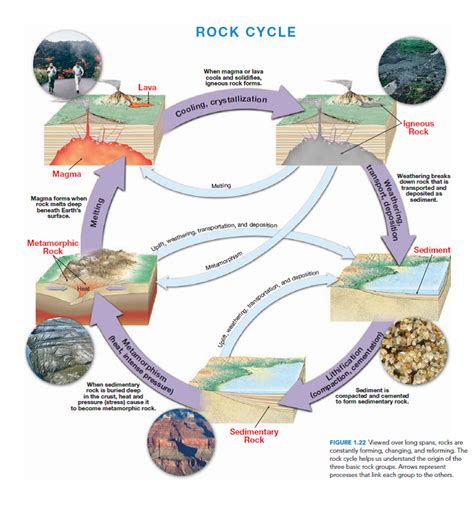 Solved Refer To Figure 122 How Does The Rock Cycle Diagram