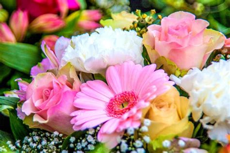 ¿cómo Elegir El Ramo De Flores Perfecto Para Cada Ocasión Florería