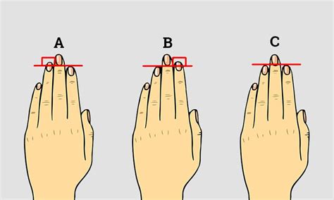 Length Of Your Finger Reveals A Few Surprises About Your Personality