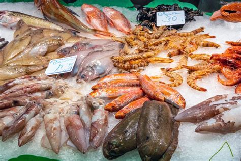 Squid Fish And Seafood Stock Image Image Of Ocean 258024843