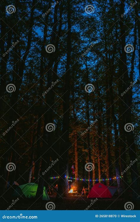 Vertical Shot Of The Camping With Friends In The Woods At Night Stock