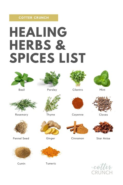Benefits Of Spices Chart My Xxx Hot Girl