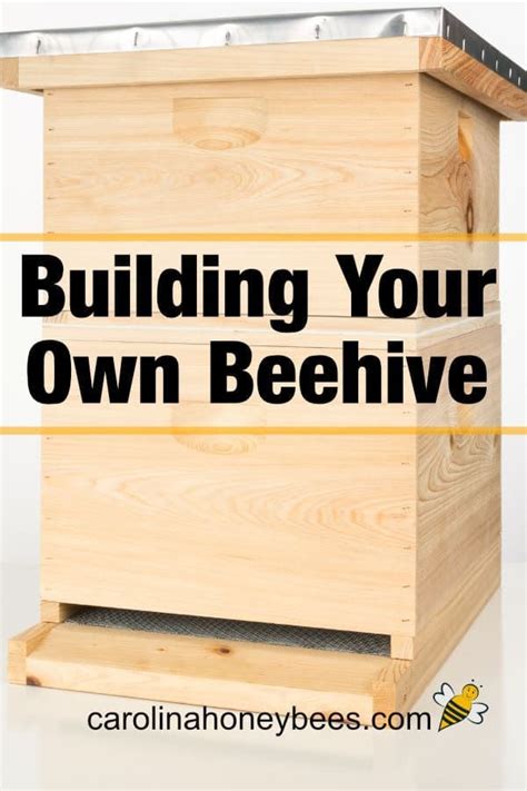 How To Build A Beehive Of Your Own Bee Hive Building A Beehive Bee Hives Boxes