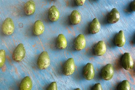 1076 Avocados Background Texture Stock Photos Free And Royalty Free