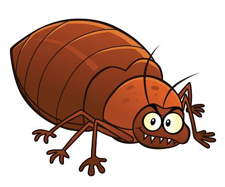Cartoon Smiling Bedbug Stock Illustration - Download Image Now - iStock