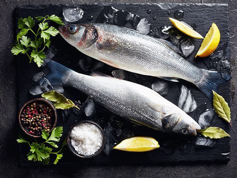 26 Different Types Of Fish To Eat That Enrich Your Menu 2023