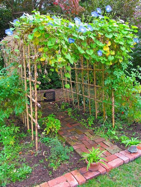Bamboo Garden Trellis Ideas 10 Diy Trellis Ideas For You Garden