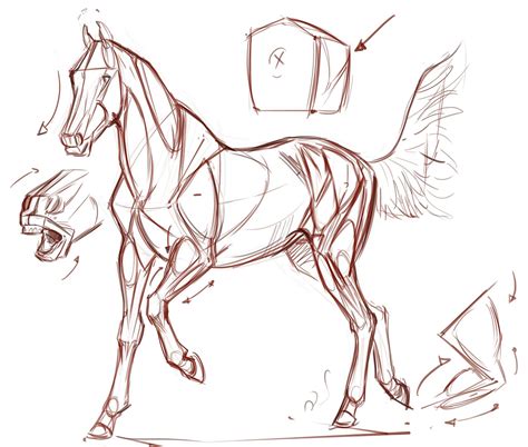 Horse Drawing Reference And Sketches For Artists