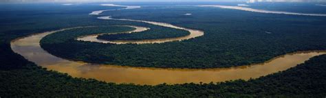 Amazon River Linkedin Background Get Some Inspiration