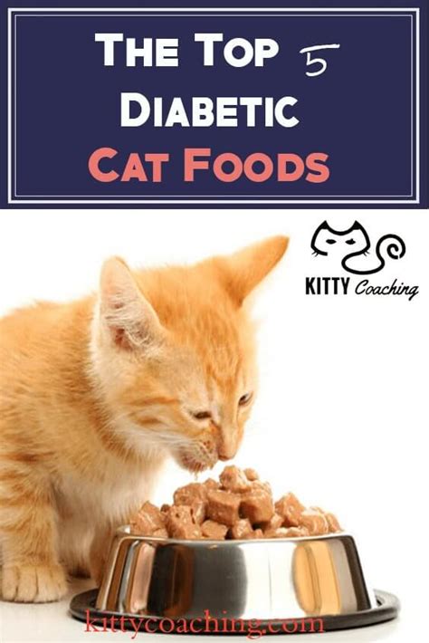 The following foods might not be available at a walmart in your area, but they're available on walmart.com and some, if not most, walmart stores. Diabetic Cat Food Reviewed - Our Top 5 Picks (2018)