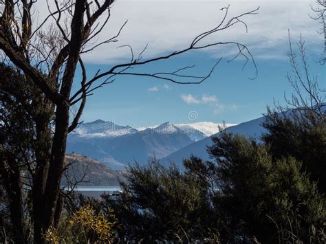 Lake Wanaka View Through Trees In Autumn With Snow Capped Mountains