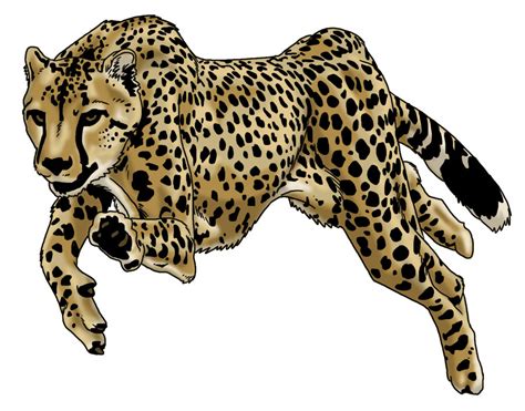 Animeoutline provides easy to follow anime and manga style drawing tutorials and tips for beginners. Cheetah Running Drawing at GetDrawings | Free download